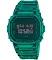 Casio G-Shock DW5600LS-2