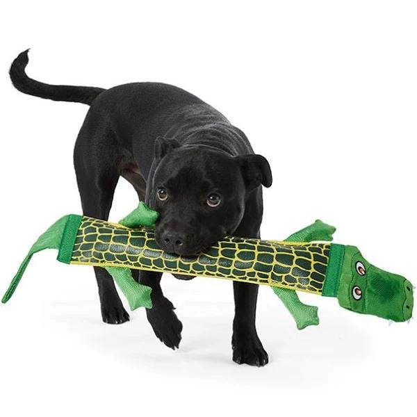 All Day Firehose Alligator Dog Toy Green