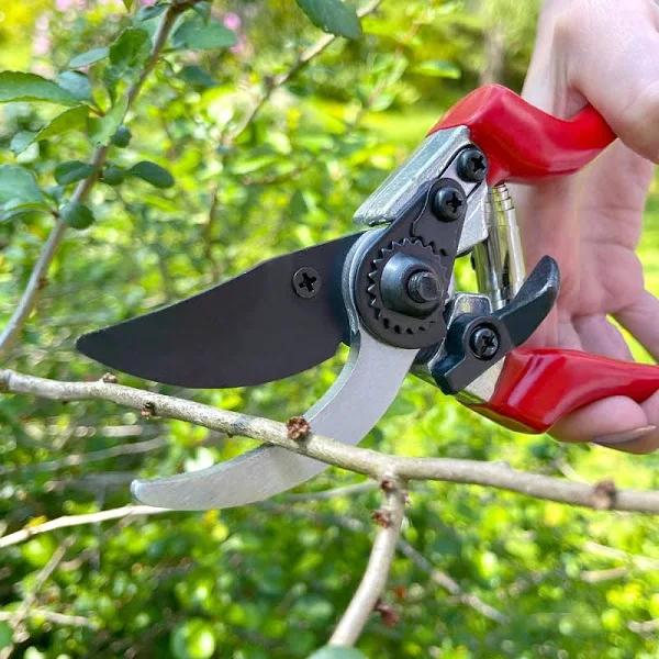 Darlac Professional Pruner Secateurs - Bypass - Secateurs