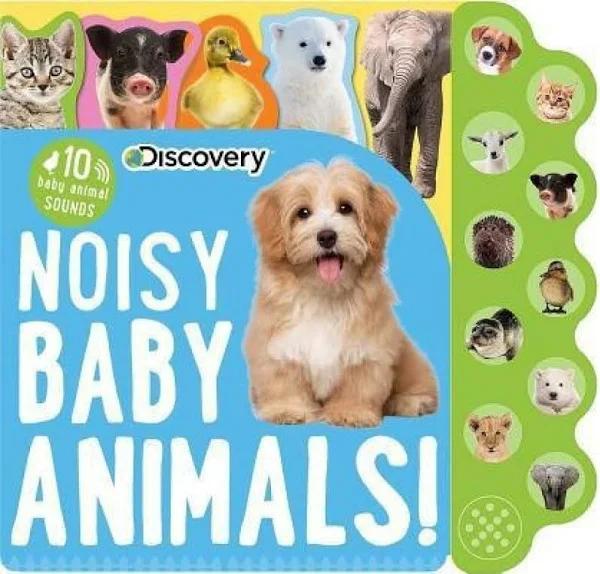 Discovery: Noisy Baby Animals!