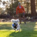 Ruffwear Toys Huckama Campfire Orange