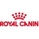 Royal Canin Maine Coon Kitten 4 kg