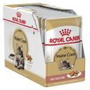 Royal Canin Maine Coon Gravy Adult Wet Cat Food 12 x 85g