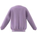 Adidas Fleece Crew Sweatshirt in Bliss Lilac Purple 9-10