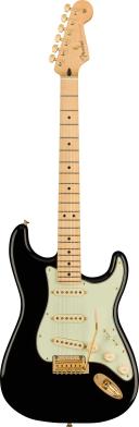 Limited Edition Fender Gold Hardware Player Stratocaster - Black