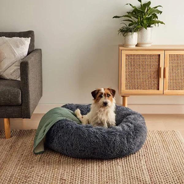 Kmart Pet Comfort Bed-Large