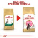 Royal Canin Dry Cat Food Maine Coon Kitten 400g