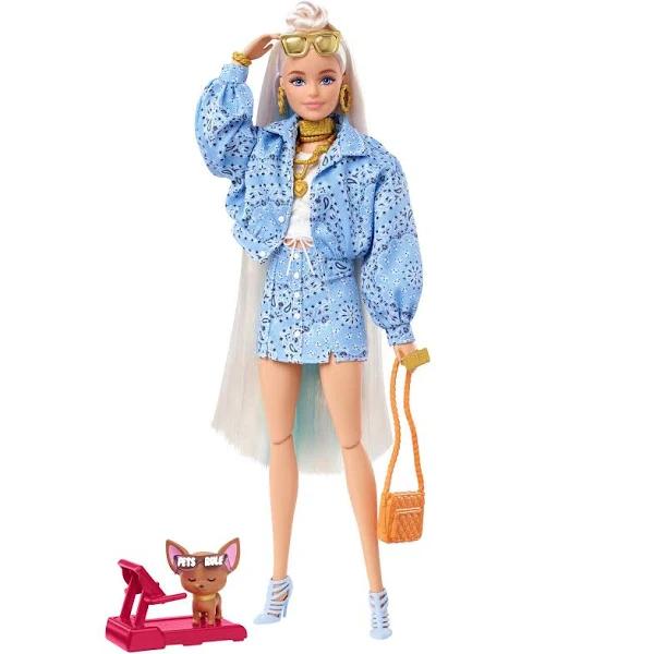 Barbie Extra Doll and Accessories