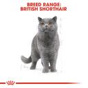 Royal Canin British Shorthair Adult Cat Food 400g