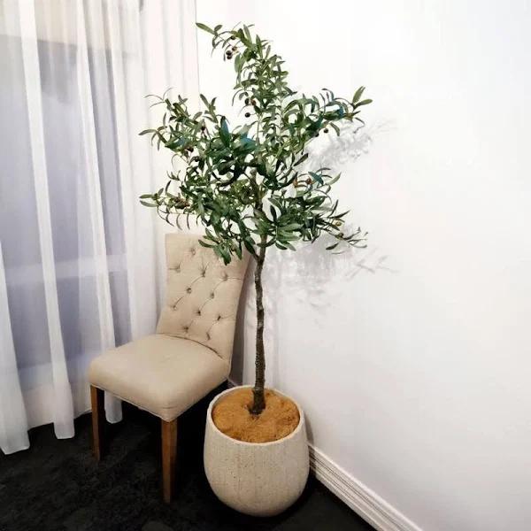 Artificial Olive Tree - 170cm