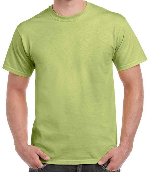 Gildan Men's Ultra Cotton Short Sleeve T Shirt Pistachio L