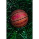 Wilson Evolution Game Basketball