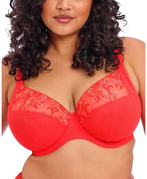 Elomi Charley Underwire Plunge Bra in Salsa, Size 14HH