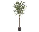 Cooper & Co. 170cm Artificial Olive Tree in Pot