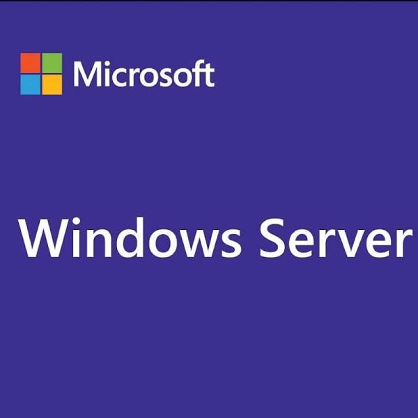 Microsoft Server Standard 2022 - 1 User Cal Pack OEM