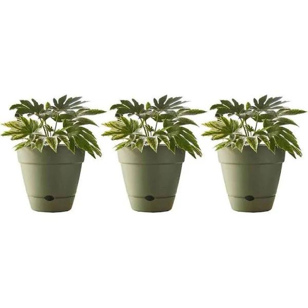 Northcote Pottery Leonard Self Watering Pot Green 200 x 180mm