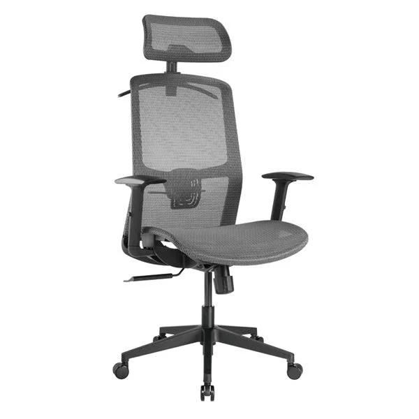 Desky Adjustable High Back Mesh Chair - AfterPay & zipPay Available