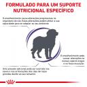 Royal Canin Veterinary Mature Consult Large Dog 14 kg