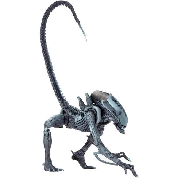 NECA - Aliens VS Predator Arcade Appearance 7 Inch Scale Action Figure Arachnoid