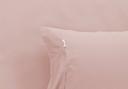 Algodon 300TC Cotton Fitted Sheet Combo Set - Mega King (Blush)