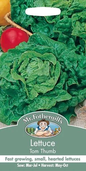 Mr Fothergill's Green MIGNONETTE Lettuce Vegetable Seeds