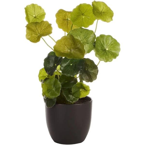 Cooper & Co. Artificial Money Bag Plant, 24 cm