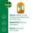 Dettol Antiseptic Disinfectant Liquid 750ml