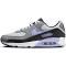 Nike Air Max 90 Light Thistle Photon Dust/Cool Grey/Light Thistle