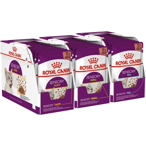 Royal Canin Mixed Sensory Feel Taste and Smell in Gravy Adult Pouches Wet Cat Food 85gm x 36 by Budget Pet Products