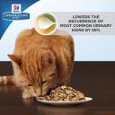 Hills Prescription Diet Feline C/D Multicare Stress 2.9kg