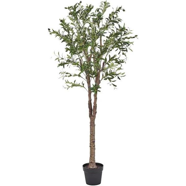 Cooper & Co. 170cm Artificial Olive Tree in Pot