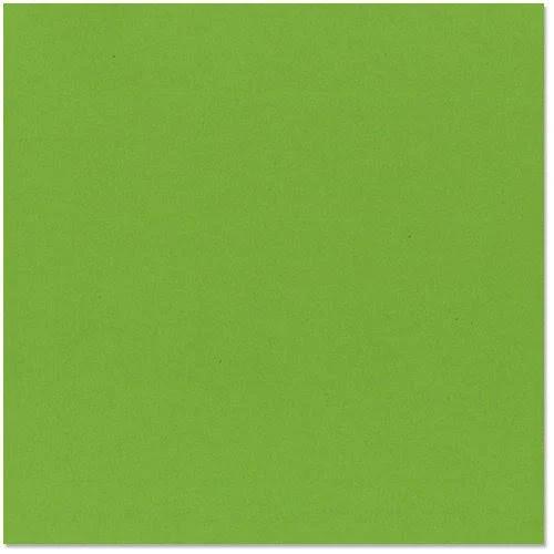 Bazzill Cardstock 12"X12" Lime Crush/Smoothies