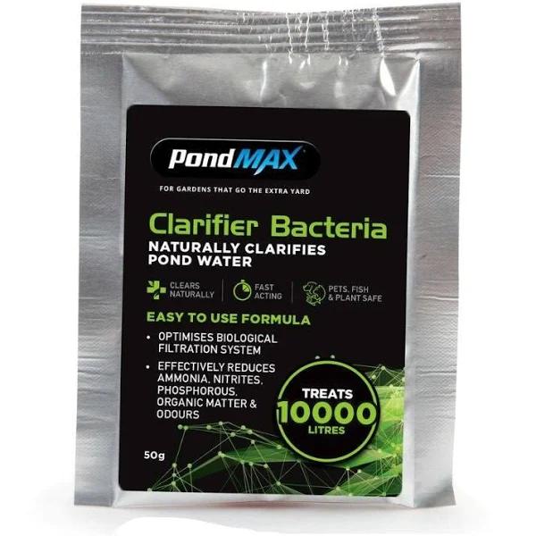 PondMAX Pond Clarifier Bacteria 50g