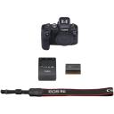 Canon EOS R6 Mirrorless Digital Camera Body