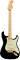 Limited Edition Fender Gold Hardware Player Stratocaster - Black