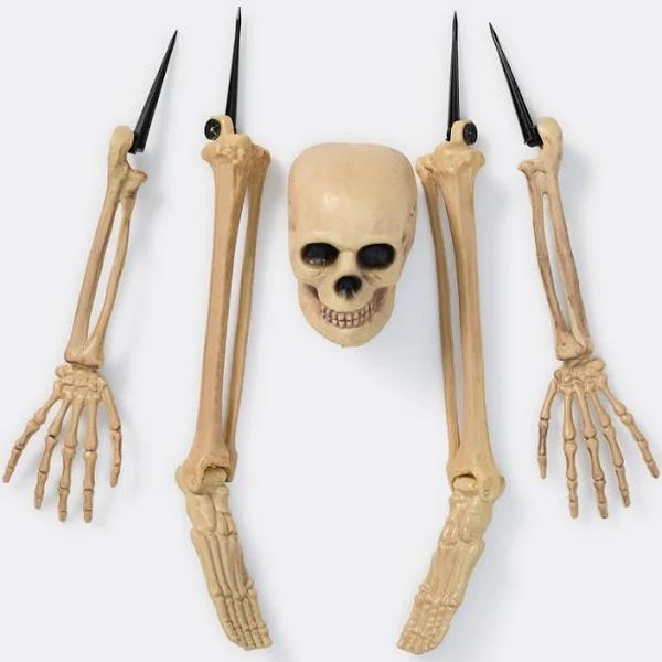 Halloween Yard Skeleton Set