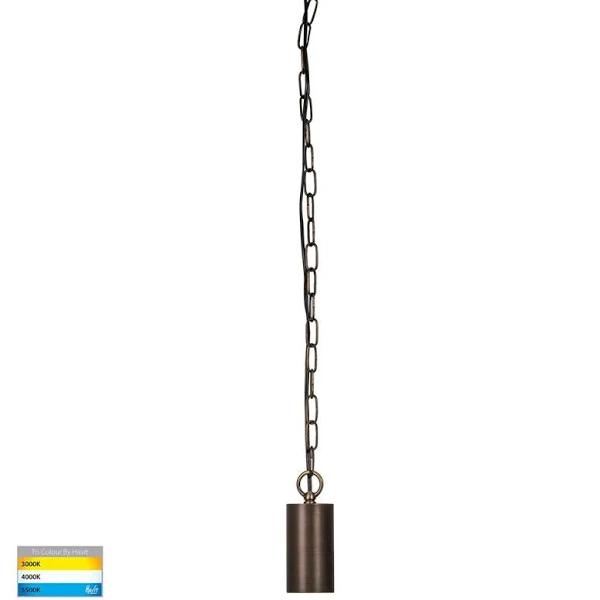 Tivah Outdoor Led Pendant Light CCT IP65 Antique Brass, Black, Brass Havit Lighting HV5902T Antique Brass / 12V DC MR16