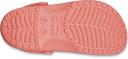 Crocs | Unisex Classic Clog (Neon Watermelon)