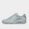 Nike Air Max 90 (Grey)