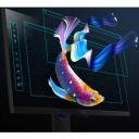 BenQ PD2705Q 27" 2K QHD 16:9 IPS LED Monitor USB-C Connectivity