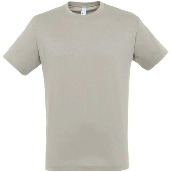 SOLS Mens Regent Short Sleeve T-Shirt (Light Grey) (XXL)