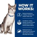 Hill's Prescription Diet k/d Kidney Care Tuna Wet Cat Food - 156g