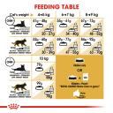 Royal Canin Cat Food Maine Coon (10 kg)