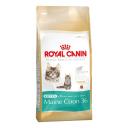 Royal Canin Maine Coon Kitten 4 kg