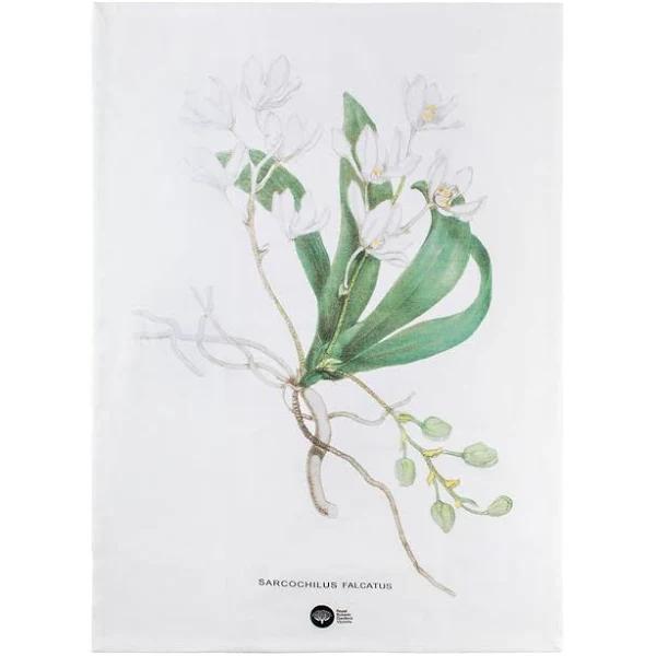 Maxwell & Williams Royal Botanic Gardens - Australian Orchids Tea Towel 50x70cm - White