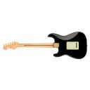 Limited Edition Fender Gold Hardware Player Stratocaster - Black