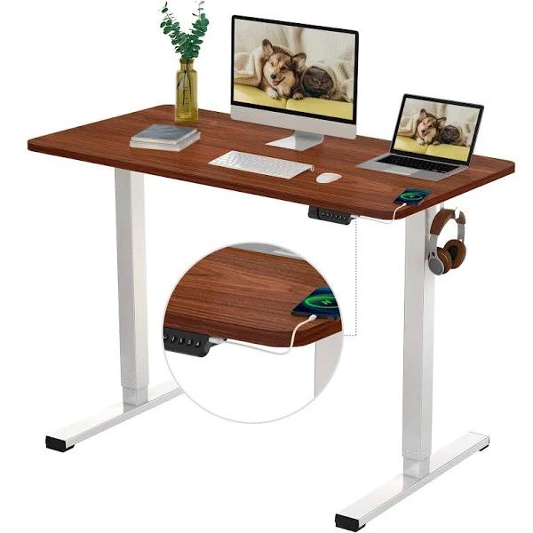 FLEXISPOT Standing Desk Electric Stand Up Desk with 120×60cm Whole-Piece Desktop Ergonomic Memory Controller Height Adjustable Desk E150(White Frame