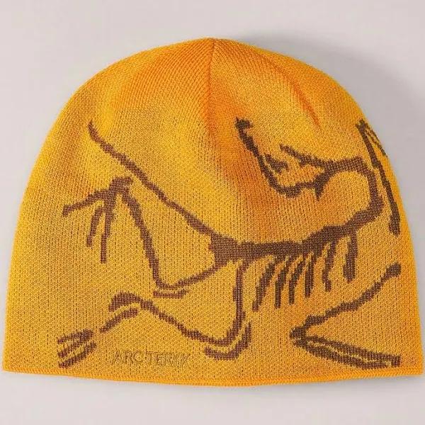 Arcteryx Arc’Teryx Bird Head Toque Edziza/relic in Yellow, Men's