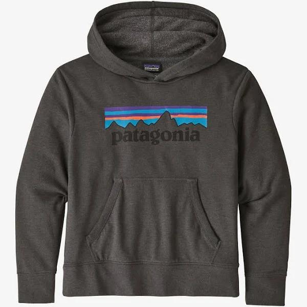 Patagonia Kids' Lightweight Graphic Hoody Sweatshirt - P-6 Logo: Forge Grey / M