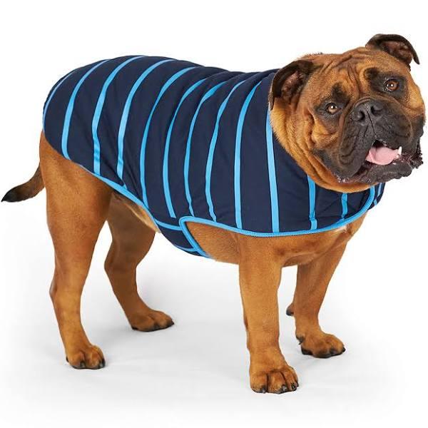 Kazoo Blue Stripe Reversible Snuggie 59.5cm by My Pet Warehouse